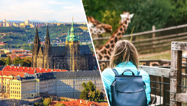 Combo (Save 5%): Prague Castle Skip-the-line-Tickets + Prague Zoo Tickets