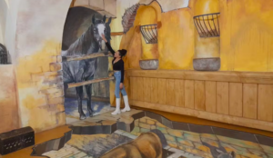 Eintrittskarten für das Museum der Sinne Prag