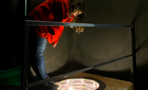 Eintrittskarten für das Museum der Sinne Prag