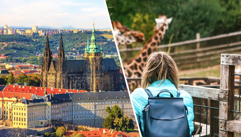 Combo (Ersparn Sie 5 %): Skip-the-Line-Tickets für das Schloss Prag + Tickets für den Prager Zoo