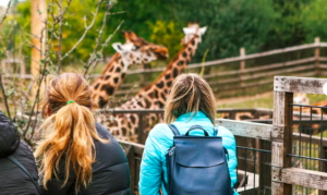 Eintrittskarte für den Prager Zoo 4