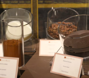 Choco-Story Museum: Eintrittskarte